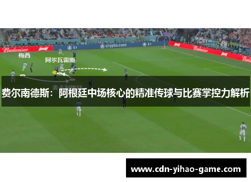 费尔南德斯：阿根廷中场核心的精准传球与比赛掌控力解析